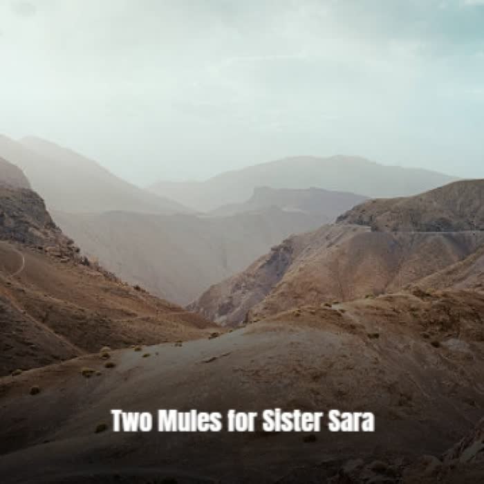 Two Mules for Sister Sara