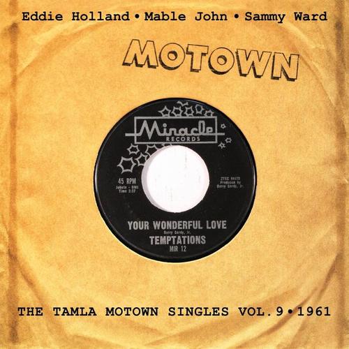Your Wonderful Love, Vol. 9 (The Tamla Motown Singles)