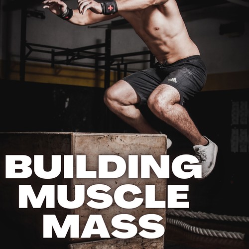 Building Muscle Mass