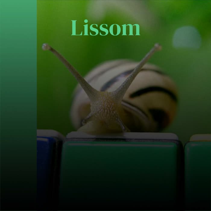 Lissom