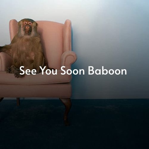 See You Soon Baboon