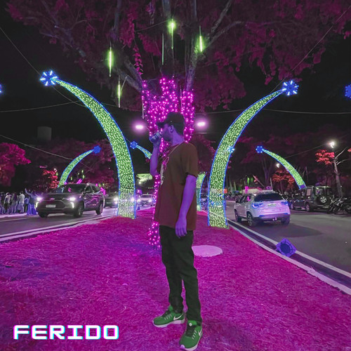 Ferido