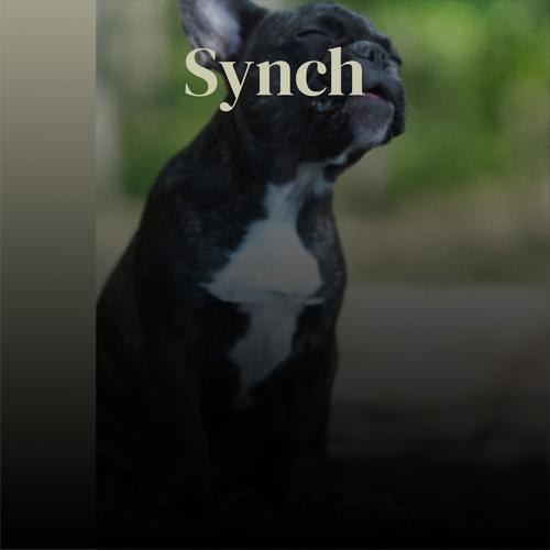 Synch