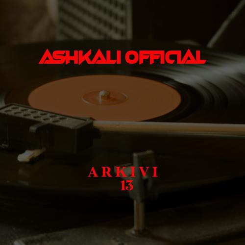 Arkivi 13