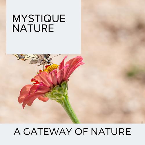 Mystique Nature - A Gateway of Nature