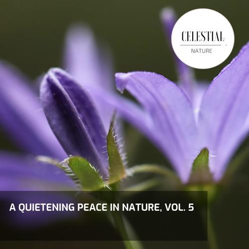 A Quietening Peace in Nature, Vol. 5