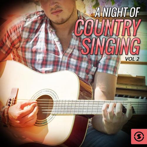 A Night of Country Singing, Vol. 2