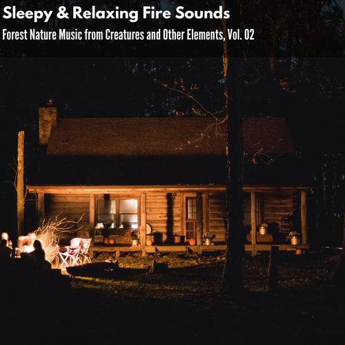 Sleepy & Relaxing Fire Sounds - Forest Nature Music from Creatures and Other Elements, Vol. 02