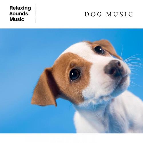 Dog Music: White Noise for Dogs