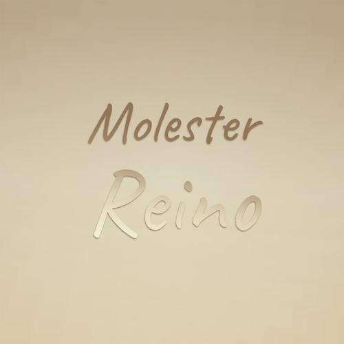 Molester Reino