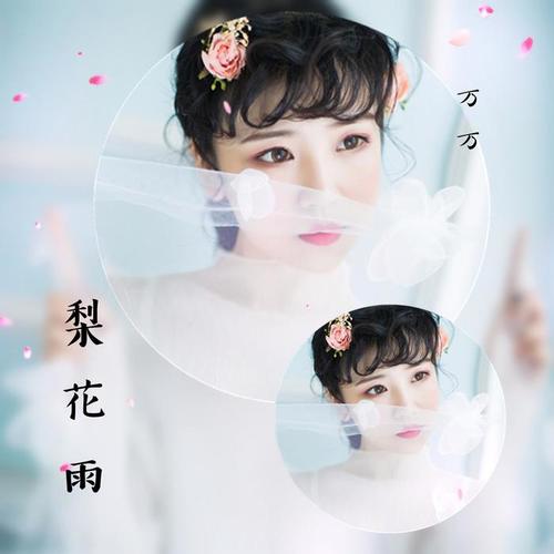 梨花雨(伴奏)_万慧慧_单曲在线试听_酷我音乐