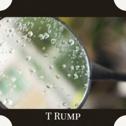 T Rump