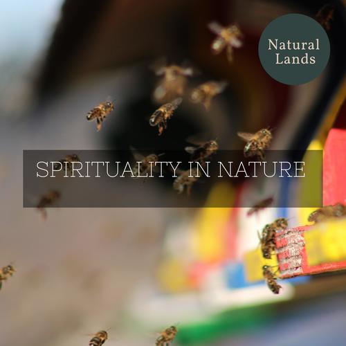 Spirituality in Nature