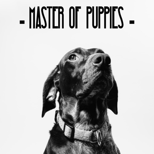 Master of Puppies