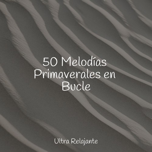 50 Melodías Primaverales en Bucle