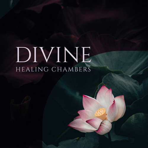 Divine Healing Chambers