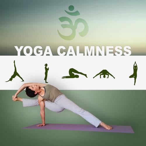 Yoga Calmness – Yoga Training, Free Your Spirit, Healing Reiki, Brain Waves