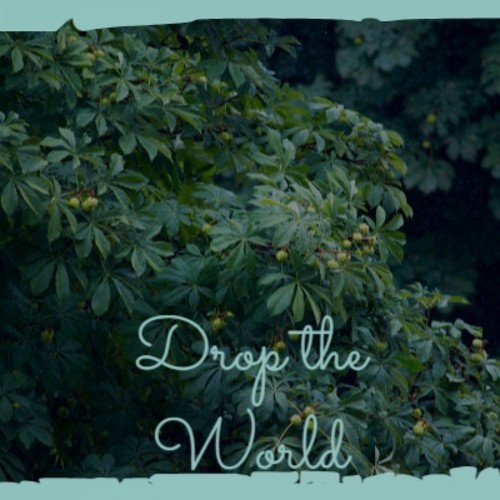 Drop the World