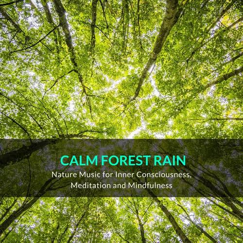 Calm Forest Rain - Nature Music for Inner Consciousness, Meditation and Mindfulness