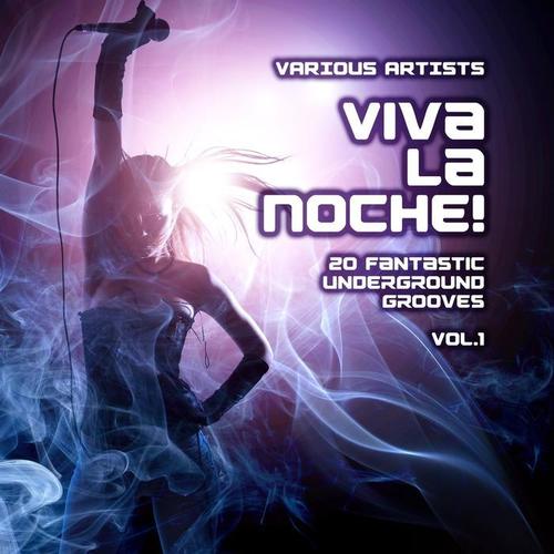 Viva La Noche! (20 Fantastic Underground Grooves) , Vol. 1