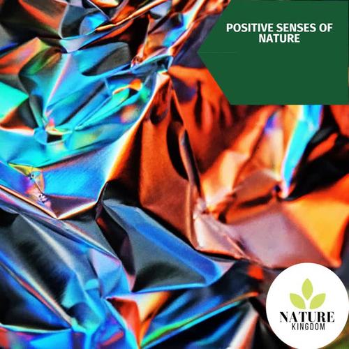 Positive Senses of Nature