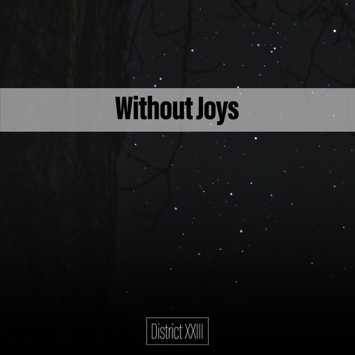 Without Joys District XXIII