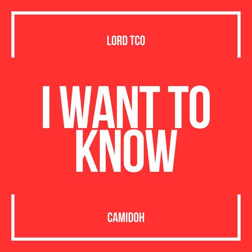 I Want To Know (feat. Camidoh)