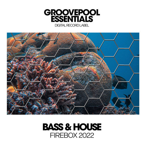 Bass & House Firebox 2022