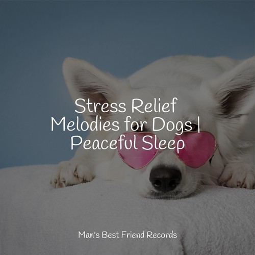 Stress Relief Melodies for Dogs | Peaceful Sleep