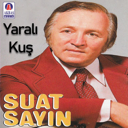 Yaralı kuş