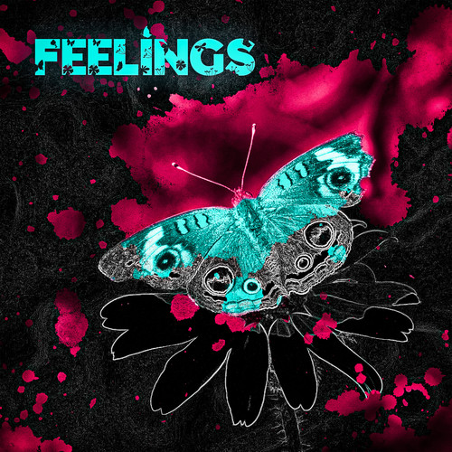 Feelings