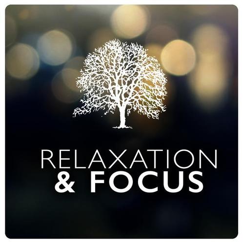 Relaxation & Focus