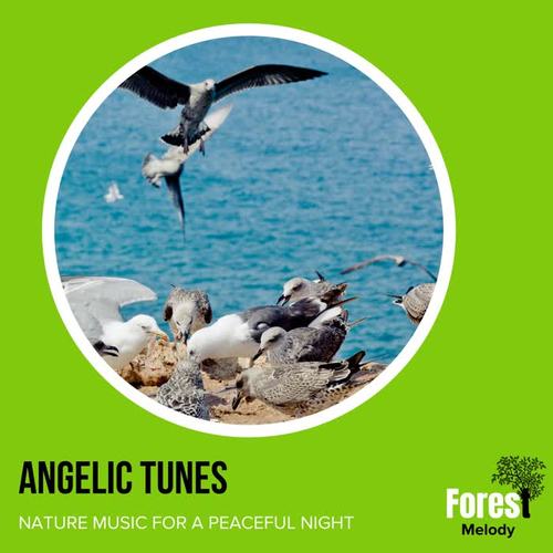 Angelic Tunes - Nature Music for A Peaceful Night