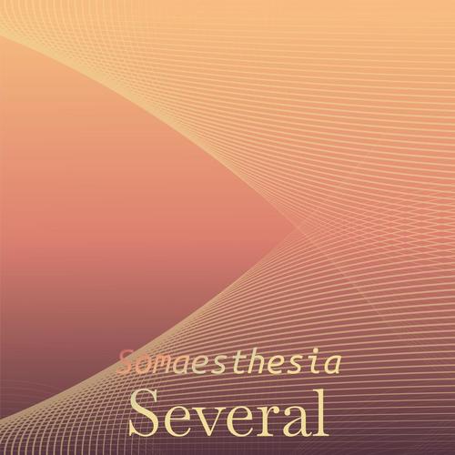 Somaesthesia Several