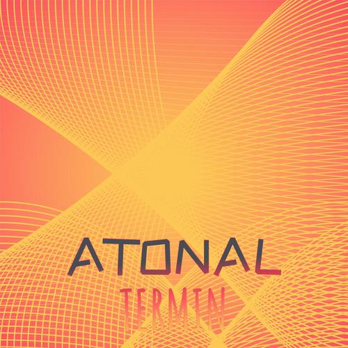 Atonal Termin