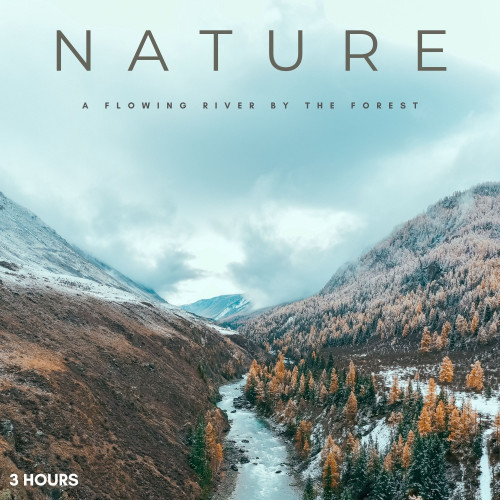 Nature: A Flowing River By The Forest - 3 Hours