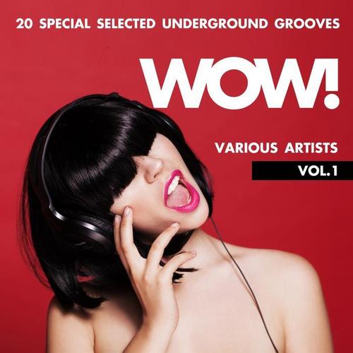 WOW! (20 Special Selected Underground Grooves) , Vol. 1