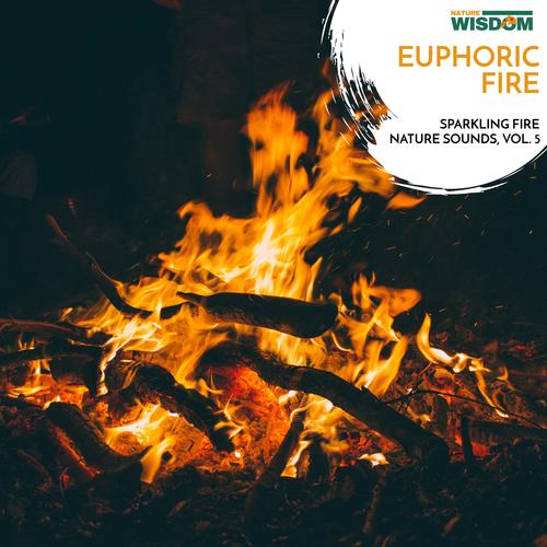 Euphoric Fire - Sparkling Fire Nature Sounds, Vol. 5