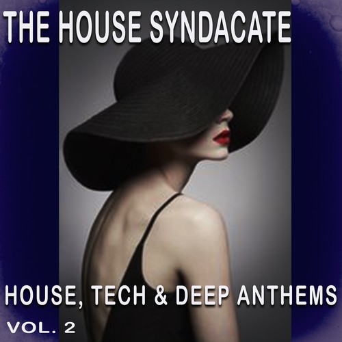 The House Syndacate, Vol. 2