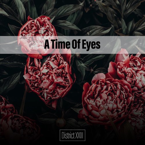 A Time Of Eyes District XXIII