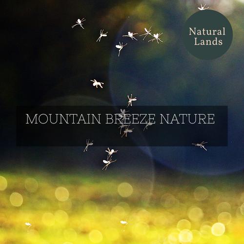 Mountain Breeze Nature