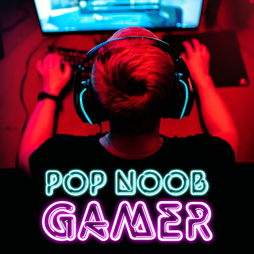 Pop Noob Gamer