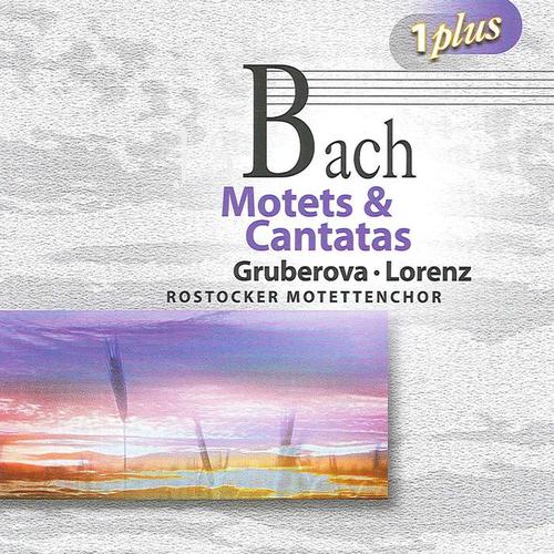 BACH, J.S.: Motets, BWV 225-230 / Cantatas (Eschenburg, Pommer, Winschermann)