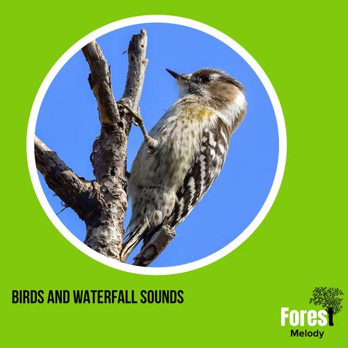 Birds and Waterfall Sounds