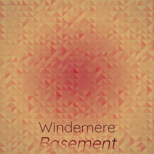 Windemere Basement