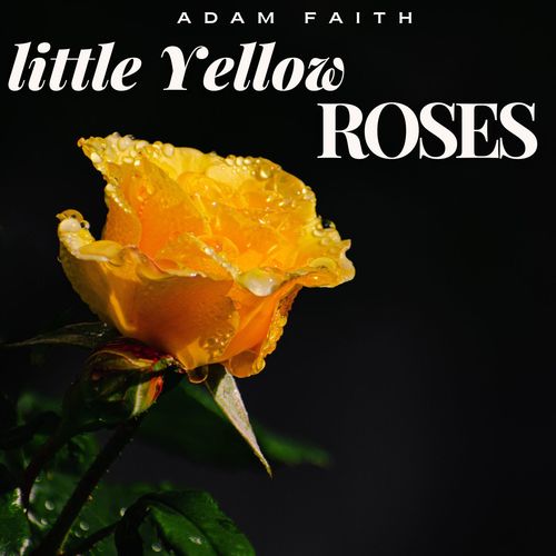 Adam Faith - Little Yellow Roses (Vintage Charm)