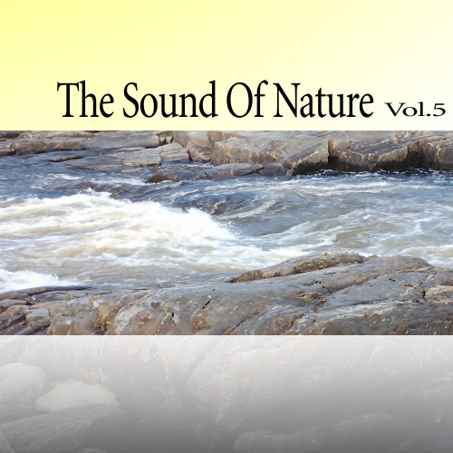 The Sound Of Nature, Vol.5