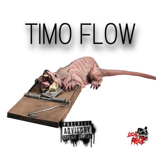 Timo Flow (Explicit)