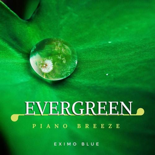 Evergreen - Piano Breeze