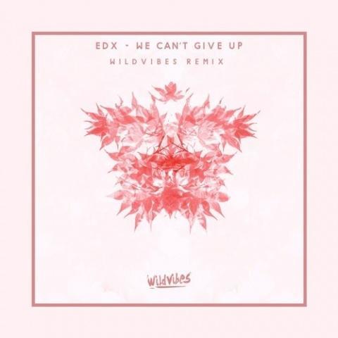 We Can't Give Up (WildVibes Remix)